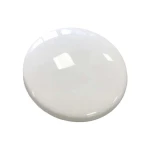 Ceramic Road Stud White (Big)
