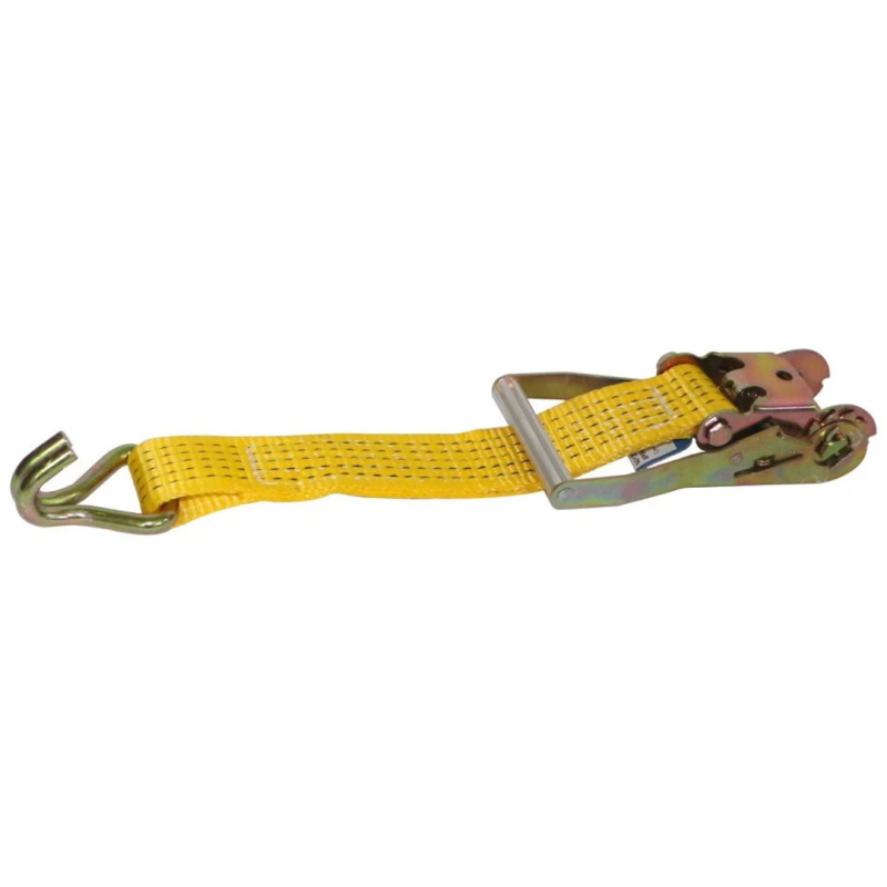 Cargo Latching Belt 2×10″Mtr H/D